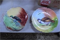 2 Bird Plates