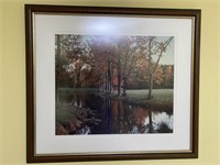 Framed Original Photograph-Fall Trees