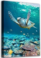 Coastal Turtle Reef Print