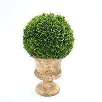 Topiary in French Style Pot