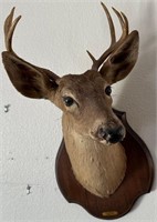 91 - WALL MOUNTED DEER HEAD