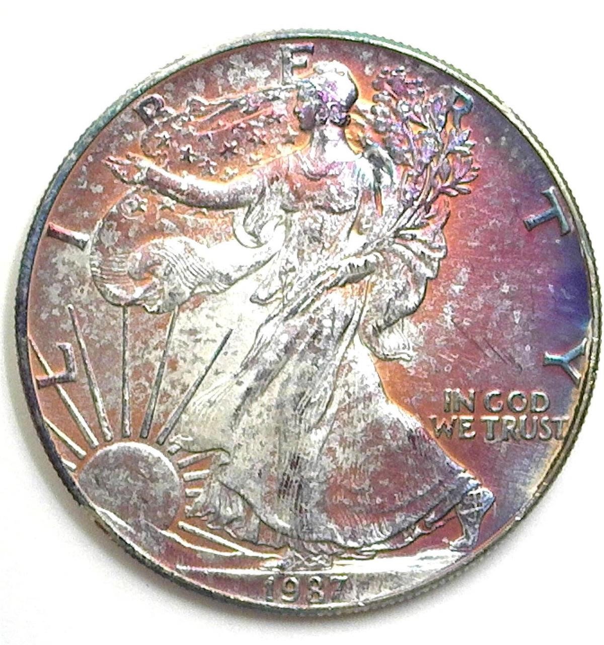 1987 Silver Eagle Wonderful Color
