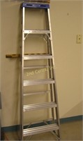 Wagner 6 Ft Aluminum Step Ladder