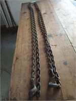 2 - 9 ft 1/4" chains w/ 1 hook each