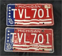 Michigan license plate lot 13