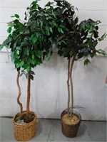 Two Artificial Trees - Roughly 6 Foot Tall