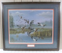 Rock Run Mallards Framed Print