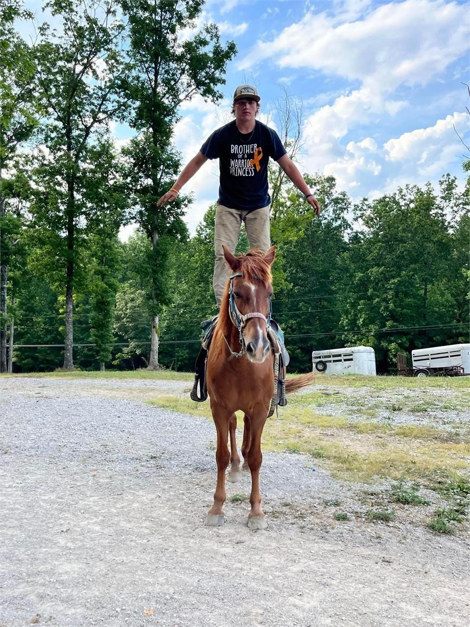 American Made Livestock Market RIDING HORSE SPECIAL