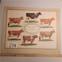 Dairy Breed Poster- Few Flaws on this one