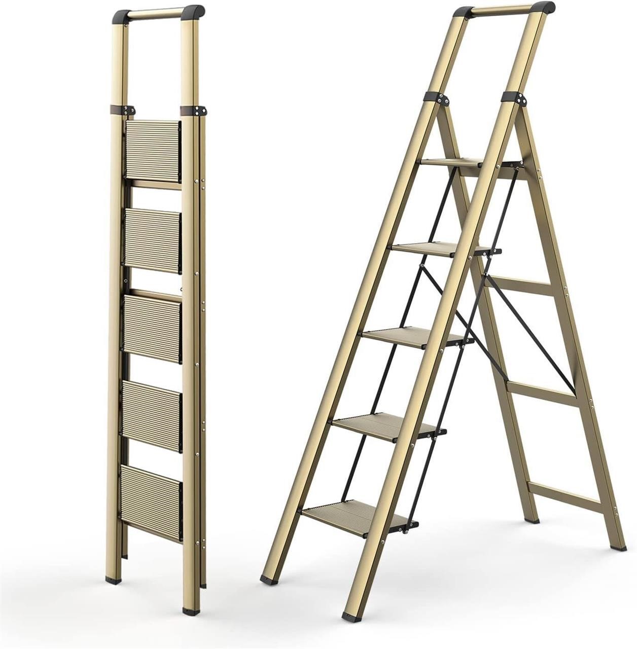 5 Step Folding Ladder