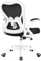Ergonomic Mesh Office Chair - White