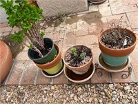 Garden Decor - Planters, Saucers, Stand, Plant