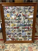 Framed puzzle of state birds and flowers