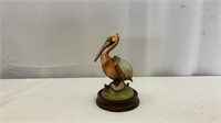 Brown Pelican by Andrea