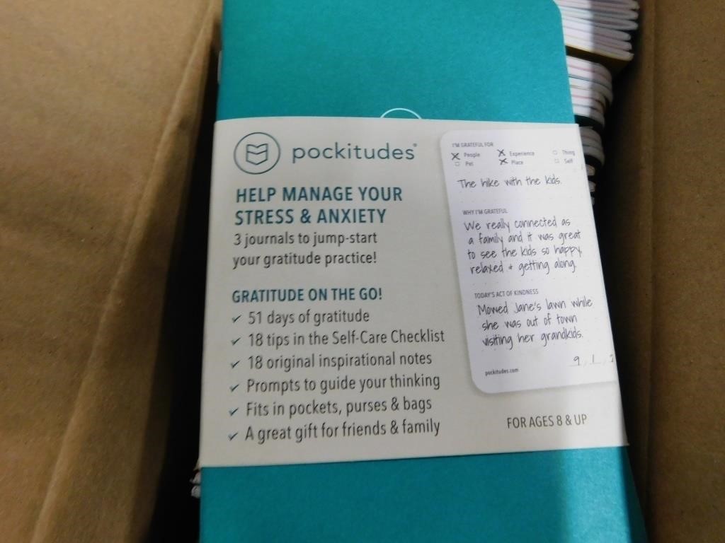 10 sets of 3 pockitude books