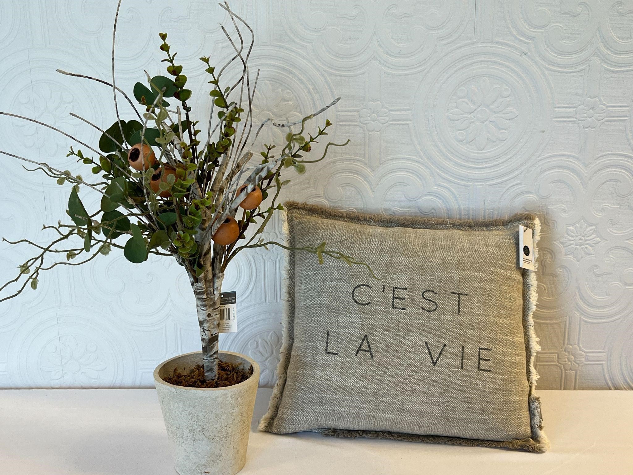 Pot with Faux Plant and C'est La Vie Small Pillow