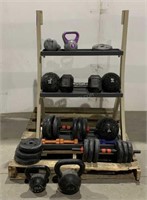 Assorted Gym Weights w/ Rack - Used