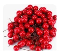 Case Of Artificial Berries For Decoration Red