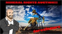  Foreclosure Auction - MINERAL RIGHTS - No Reserve #7