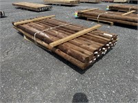 (20) Pcs Of Pressure Treated Mini Ties