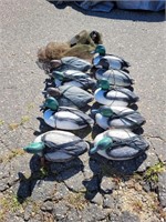 10 - Duck Decoys with Bag