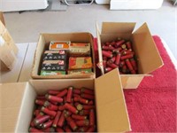 Misc. Ammo Lot