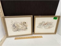 Pair  Of  Mute Swan Framed Prints
