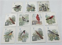 American Songbird Cards