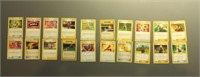 20 Pokemon Trainer Cards