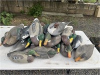 LARGE LOT OF DUCK DECOYS