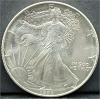 1993 silver eagle coin