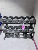 Powertec Dumbbells Stand with Dumbbells
