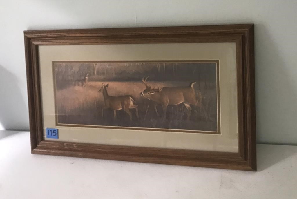 Framed Doe & Buck Picture (22.5"L x 12.5"W)