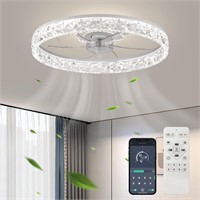 Fszdorj 20' Ceiling Fan  LED  App Control