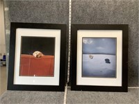 Labrador Retriever Framed Photos Ron Schmidt