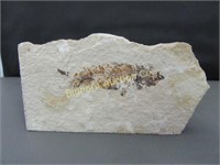 Fossil Fish Approx. 2 3/4" x 5"
