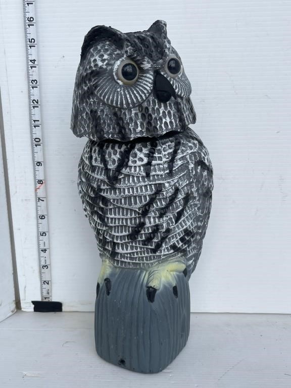 Swivel head Owl
