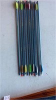 12 Easton Arrows 1820 Genesis