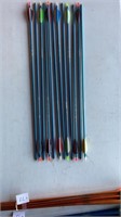 12 Easton Arrows 1820 Genesis