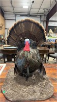 FULL BODY TURKEY MOUNT ON STAND