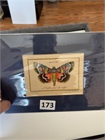 VTG Colored Butterfly Print Sculp Litho