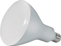 2 LED Light Bulbs, 6.4" x 5" x 5", Warm White