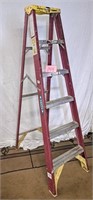 Werner 6 ft. fiber glass ladder