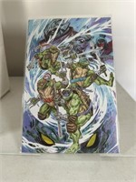 TMNT SPLINTERED FATE #ONE SHOT - RETAIL EXCLUSIVE