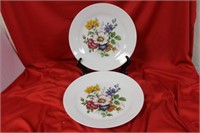 A Pair of Hutschenreuther China Floral Plates