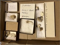 VERY UNIQUE FOSSIL COLLECTION