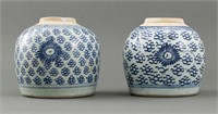 Chinese Blue and White Porcelain Ginger Jars, 2