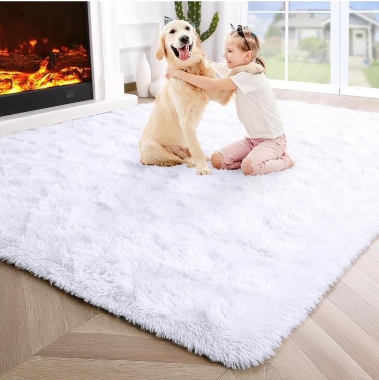 ( New ) Noahas Fluffy White Area Rugs for