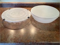Covered plastic egg carrier and bowl
