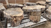 Elm Slabs w/ Bark Peeled